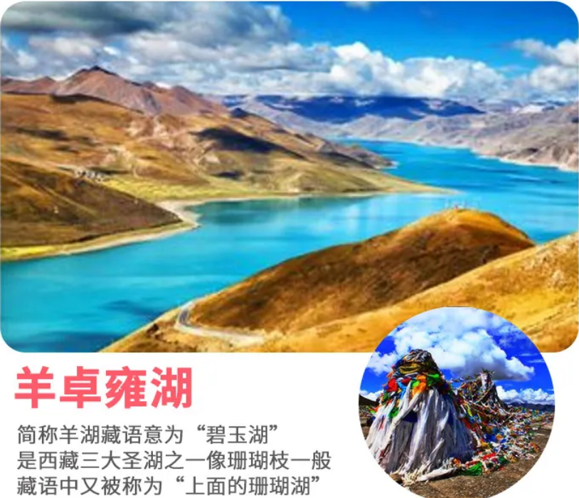 微信图片_20230313155608